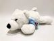 هدایای 100٪ PP پنبه ای پر شده هدایای اسباب بازی مخمل دار خرس قطبی کوچک خوابیده برای کودکان