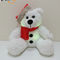 کریسمس چراغ روشنایی خرس مخمل خواب دار با کلاه بابا نوئل کودکان هدیه LED Bear اسباب بازی مخمل خواب دار کودکان