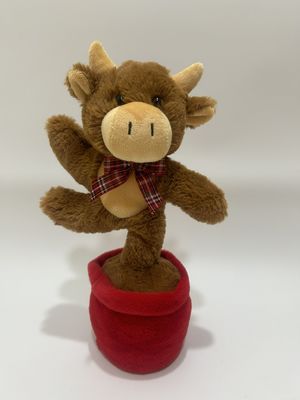 گاو هايلند آواز و رقص