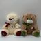 New Style 2 Clrs World Cup Push Bears W/ Music for Boys, Football Lovers Stuffer Toys Factory BSCI