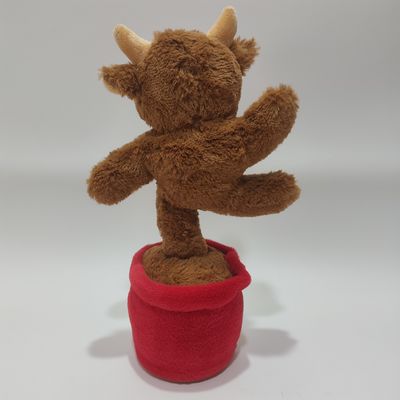 گاو هايلند آواز و رقص